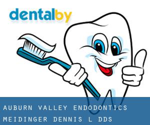 Auburn Valley Endodontics: Meidinger Dennis L DDS