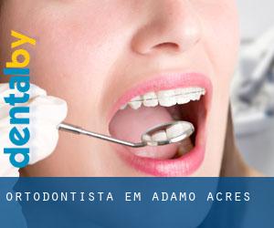 Ortodontista em Adamo Acres