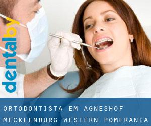 Ortodontista em Agneshof (Mecklenburg-Western Pomerania)