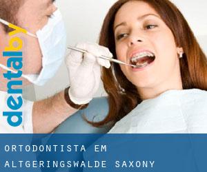 Ortodontista em Altgeringswalde (Saxony)
