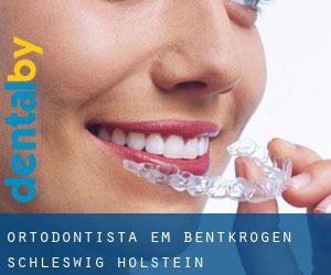 Ortodontista em Bentkrögen (Schleswig-Holstein)