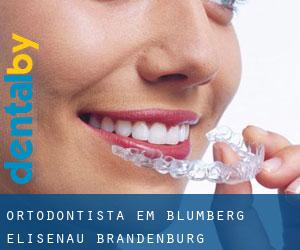 Ortodontista em Blumberg-Elisenau (Brandenburg)