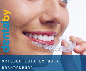 Ortodontista em Bork (Brandenburg)
