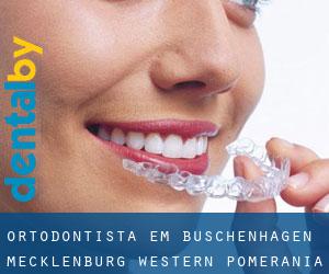 Ortodontista em Buschenhagen (Mecklenburg-Western Pomerania)