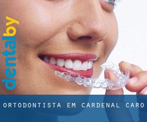 Ortodontista em Cardenal Caro