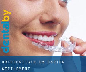 Ortodontista em Carter Settlement