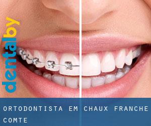 Ortodontista em Chaux (Franche-Comté)