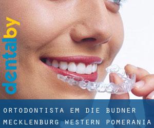 Ortodontista em Die Büdner (Mecklenburg-Western Pomerania)