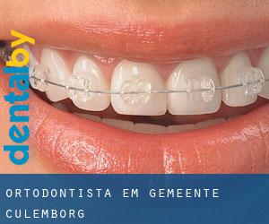 Ortodontista em Gemeente Culemborg