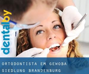 Ortodontista em Gewoba-Siedlung (Brandenburg)