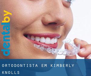 Ortodontista em Kimberly Knolls