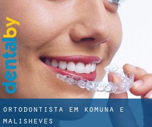 Ortodontista em Komuna e Malisheves