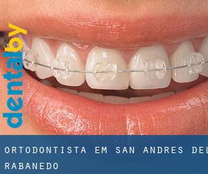 Ortodontista em San Andrés del Rabanedo