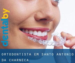 Ortodontista em Santo António da Charneca