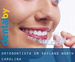 Ortodontista em Skyland (North Carolina)