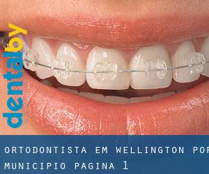 Ortodontista em Wellington por município - página 1