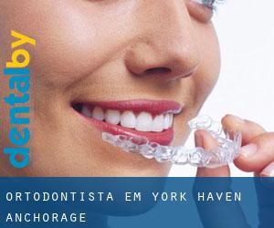 Ortodontista em York Haven Anchorage