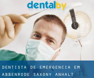 Dentista de emergência em Abbenrode (Saxony-Anhalt)
