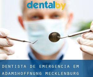 Dentista de emergência em Adamshoffnung (Mecklenburg-Western Pomerania)