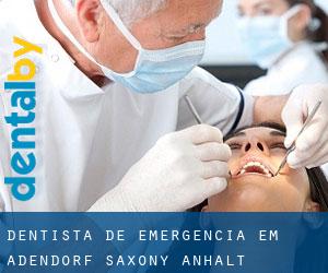 Dentista de emergência em Adendorf (Saxony-Anhalt)