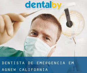 Dentista de emergência em Agnew (California)