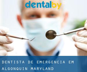 Dentista de emergência em Algonquin (Maryland)