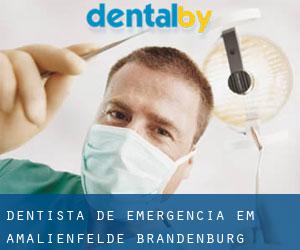 Dentista de emergência em Amalienfelde (Brandenburg)