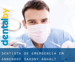 Dentista de emergência em Annenhof (Saxony-Anhalt)