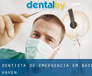 Dentista de emergência em Bass Haven
