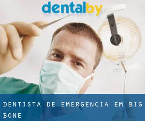 Dentista de emergência em Big Bone
