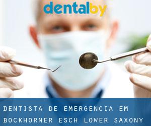 Dentista de emergência em Bockhorner Esch (Lower Saxony)