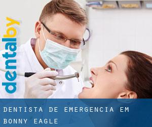 Dentista de emergência em Bonny Eagle