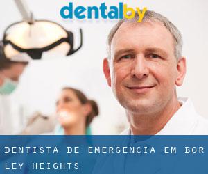 Dentista de emergência em Bor-ley Heights