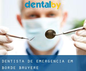 Dentista de emergência em Borde Bruyère