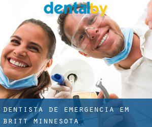 Dentista de emergência em Britt (Minnesota)