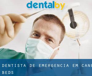 Dentista de emergência em Cane Beds