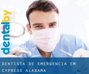 Dentista de emergência em Cypress (Alabama)