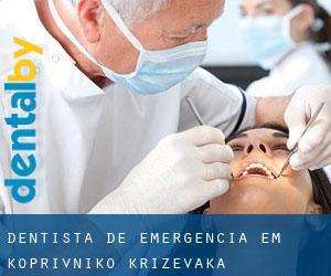Dentista de emergência em Koprivničko-Križevačka