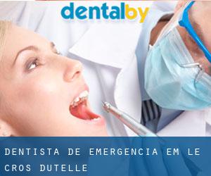 Dentista de emergência em Le Cros-d'Utelle