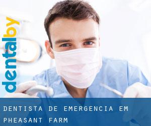 Dentista de emergência em Pheasant Farm