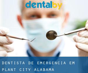 Dentista de emergência em Plant City (Alabama)