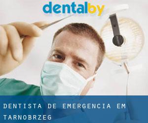 Dentista de emergência em Tarnobrzeg