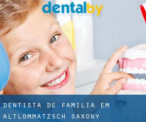 Dentista de família em Altlommatzsch (Saxony)