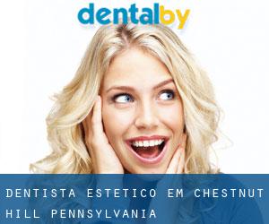 Dentista estético em Chestnut Hill (Pennsylvania)