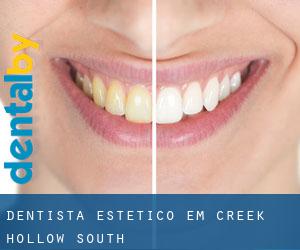 Dentista estético em Creek Hollow South