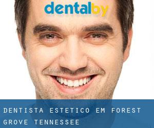 Dentista estético em Forest Grove (Tennessee)