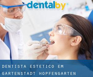 Dentista estético em Gartenstadt Hopfengarten (Saxony-Anhalt)