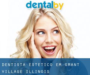 Dentista estético em Grant Village (Illinois)
