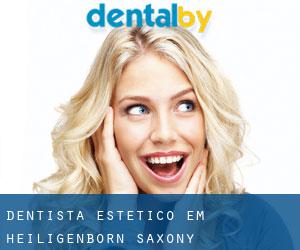 Dentista estético em Heiligenborn (Saxony)