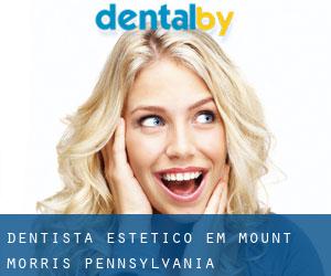 Dentista estético em Mount Morris (Pennsylvania)